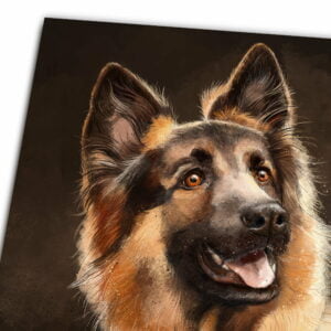 German Shepherd