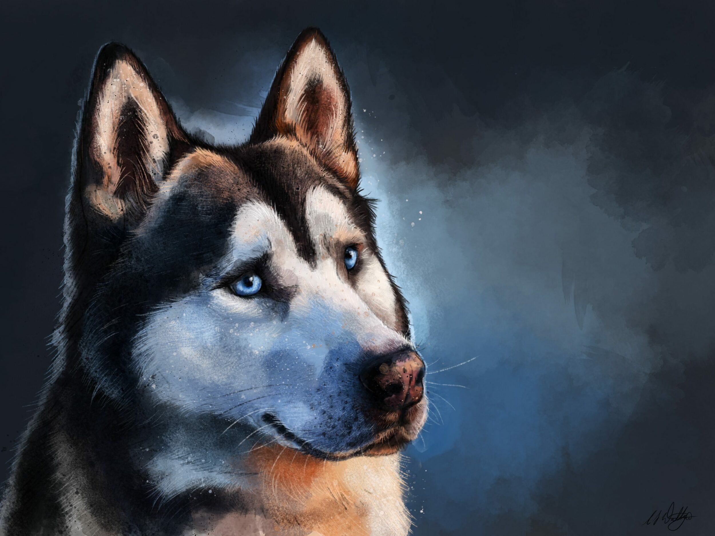 Cute Husky Wallpaper HD 4K APK for Android Download