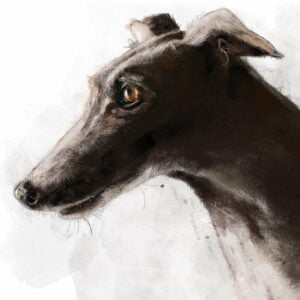 The Greyhound Collection