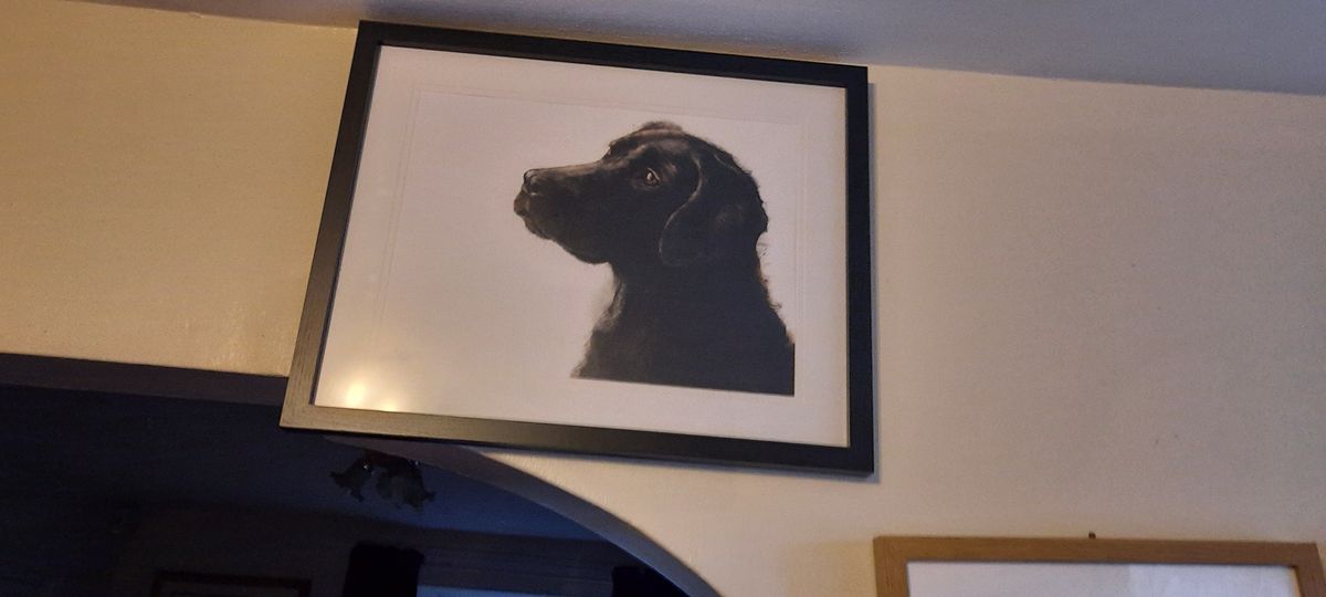 Image #1 from Sim E.